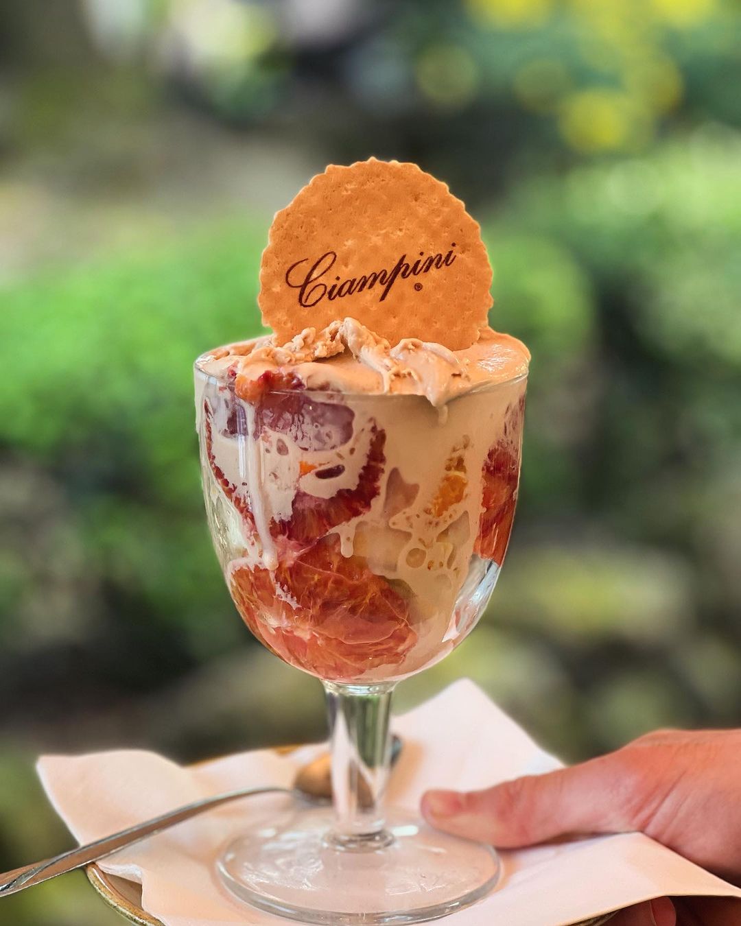 picnic-villa-borghese-collaborazione-ciampini-2